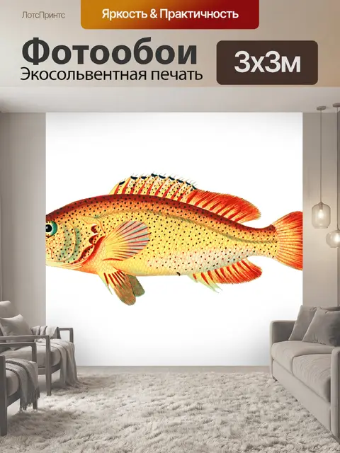 Фотообои Клипарт рыба винтаж нарисованная