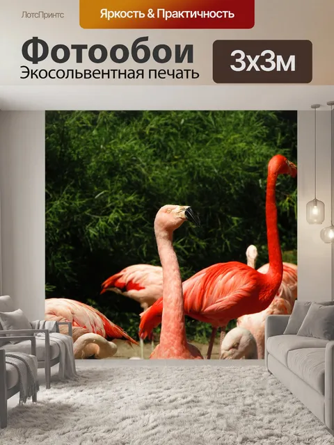 Фотообои Фламинго