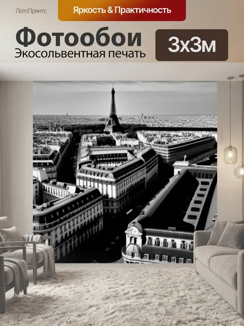 Фотообои пейзаж с парижем чернобелый