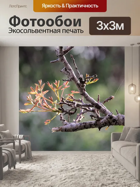Фотообои Ветка дерева с новыми листьями