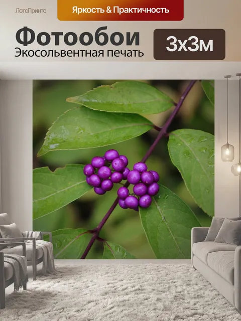 Фотообои Ягодка