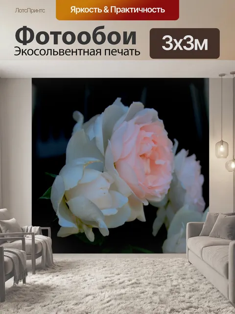 Фотообои мягкой розовой розы