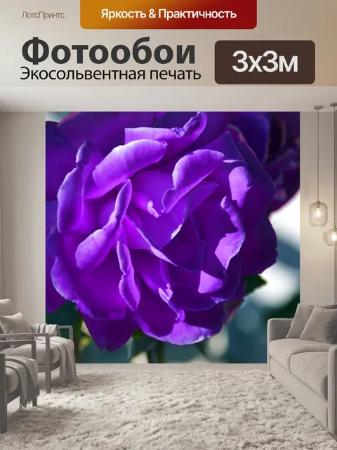 Фотообои Роза