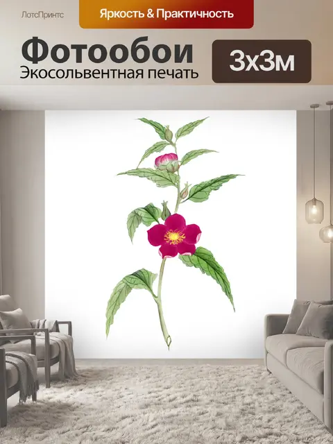 Фотообои Клипарт цветок старинное искусство