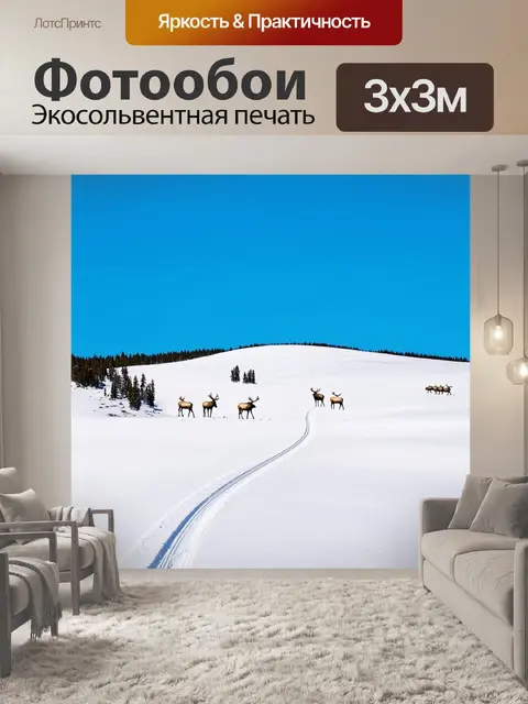 Фотообои холмы, покрытые снежным покровом, и следы лосей, пересекающие их, под ярким синем небом