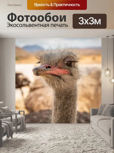 Фотообои Страус
