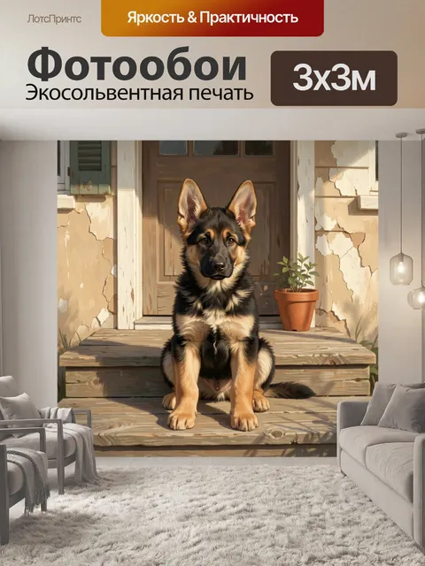 Фотообои Щенок овчарки на крыльце
