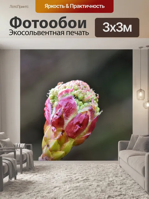 Фотообои Рябина