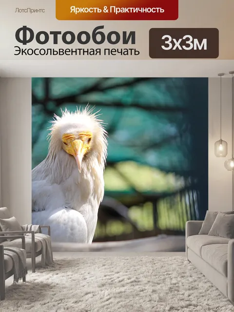Фотообои Птица