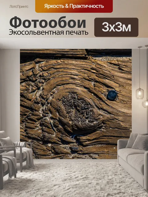 Фотообои Все, что видит глаз в дереве
