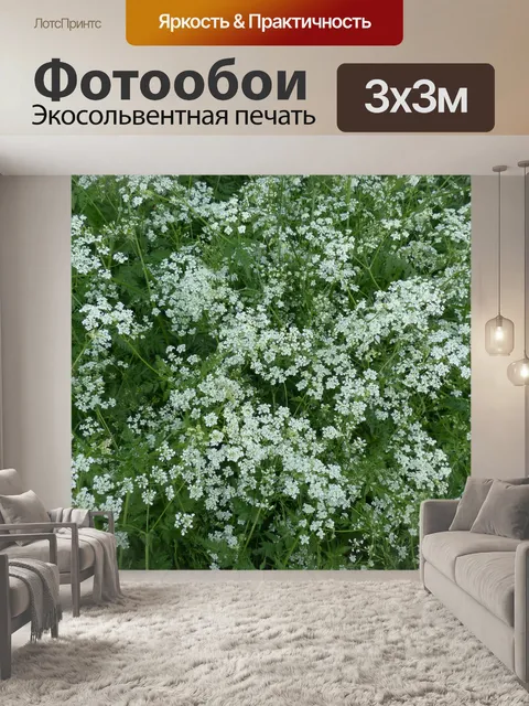 Фотообои Луговой кервель