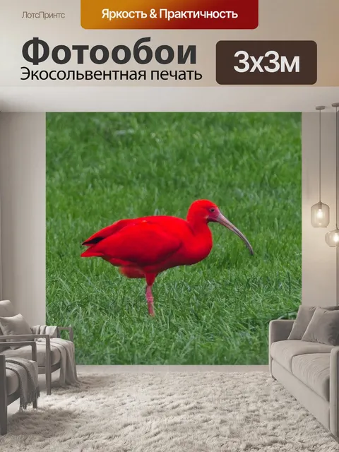 Фотообои Птица