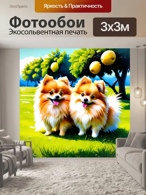 Фотообои пара милых померанских шпицев играет на зеленом лугу, лимонные деревья растут вдалеке