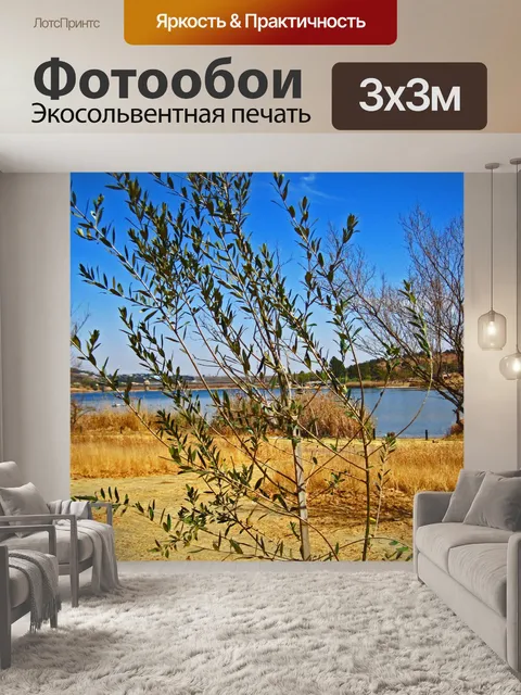 Фотообои молодые дикой оливы рядом с плотиной