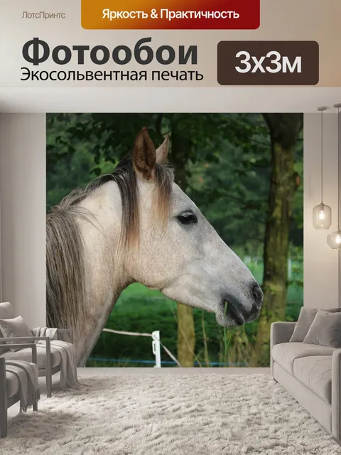 Фотообои Лошадь