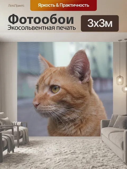 Фотообои Животное
