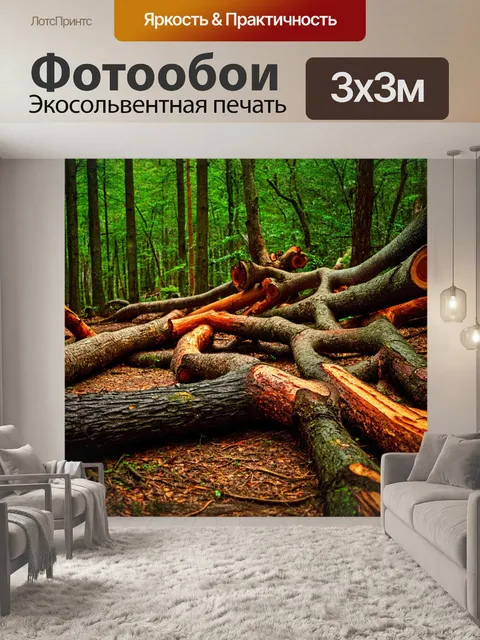 Фотообои древний лес с бревнами и старыми корнями, переплетающимися на земле