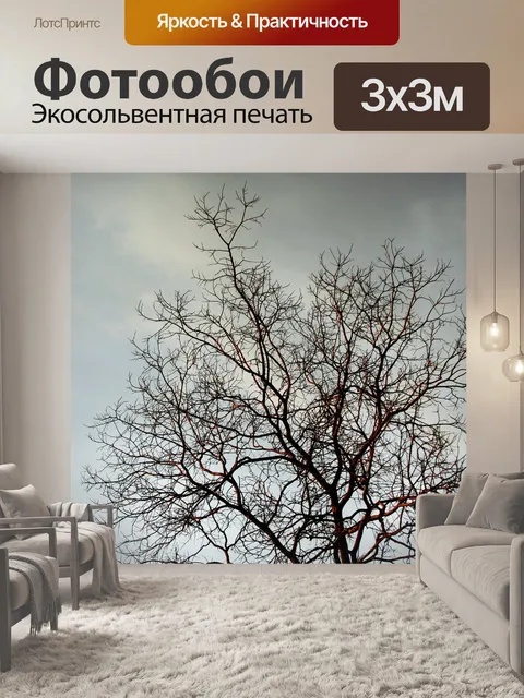 Фотообои Голые ветки