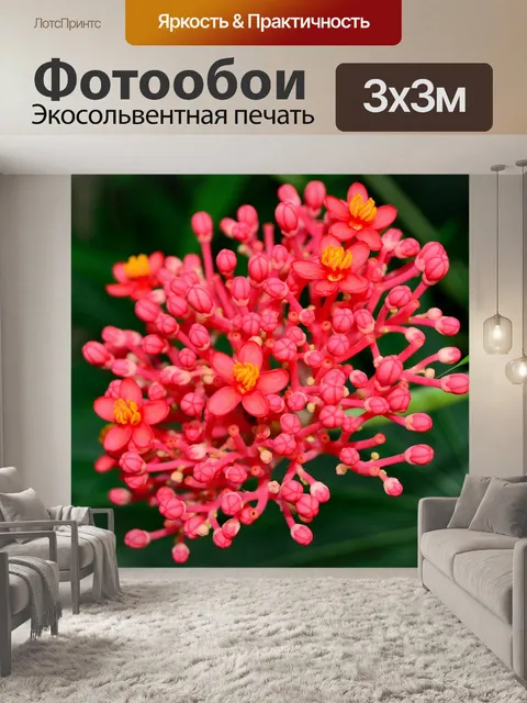Фотообои Яркий