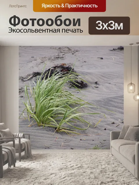 Фотообои Пляж