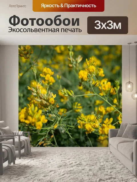 Фотообои Желтые цветы, полевые цветы, бутоны