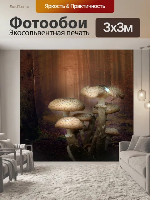 Фотообои грибы
