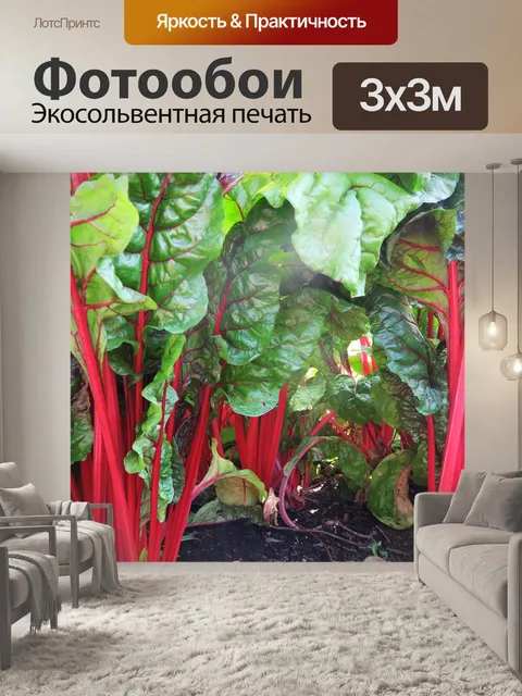 Фотообои Сад