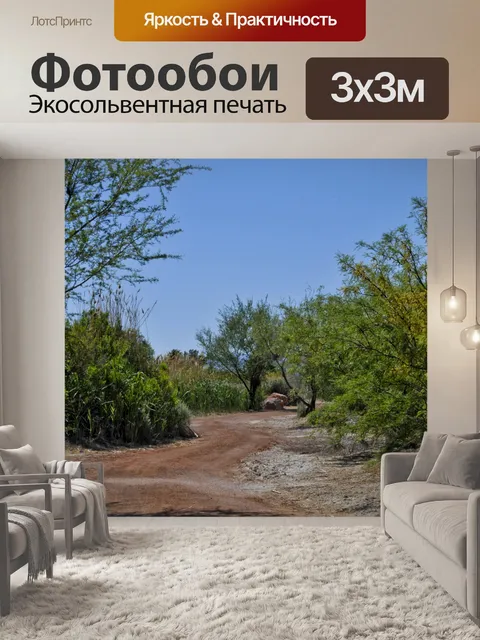 Фотообои Путь Пустыни