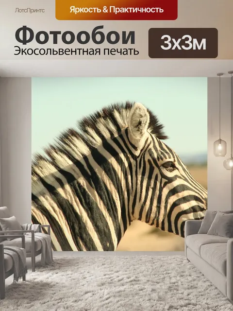 Фотообои Зебра
