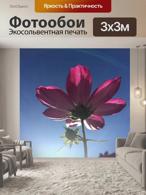 Фотообои Цветок