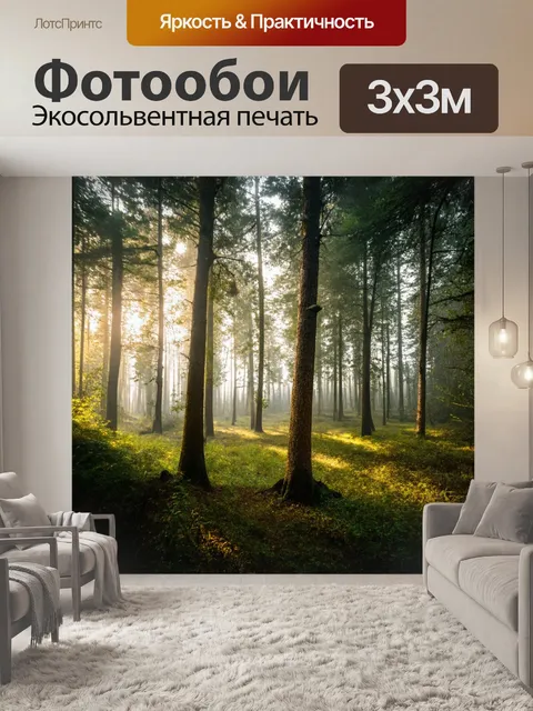 Фотообои утро, многоэтажный лес с деревьями, блестящими от росы под нежным солнечным светом