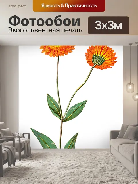 Фотообои Цветы клипарт графический рисунок