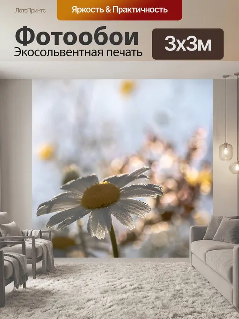 Фотообои Ромашки