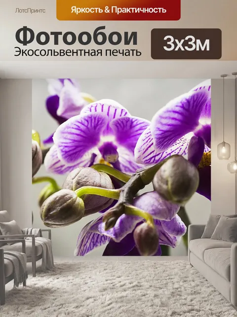 Фотообои Орхидея