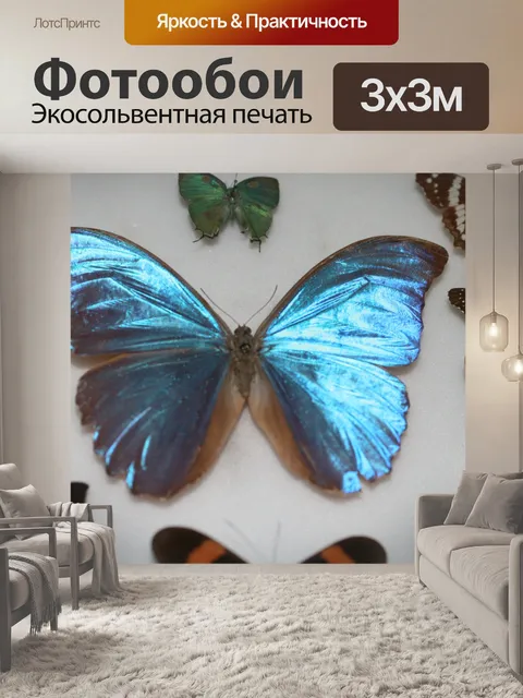 Фотообои Коста-Рика Бабочка