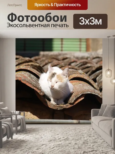 Фотообои Кот