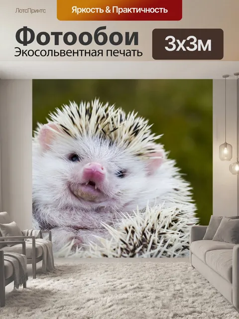 Фотообои Ежик