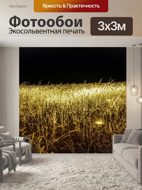 Фотообои поле, освещенное ночным светом, изображенное в технике кружева