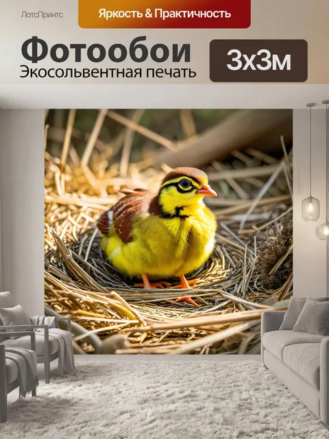 Фотообои мягкие и пушистые желтые перепелки, сидящие на гнезде из сухих трав