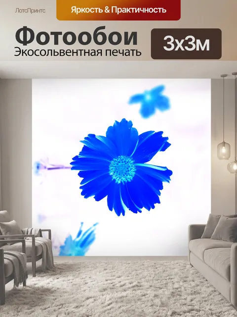 Фотообои ромашка инвертировать синий