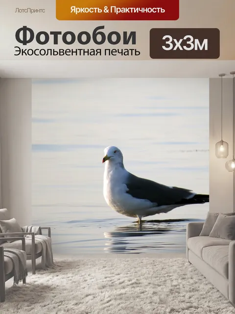 Фотообои Чайка