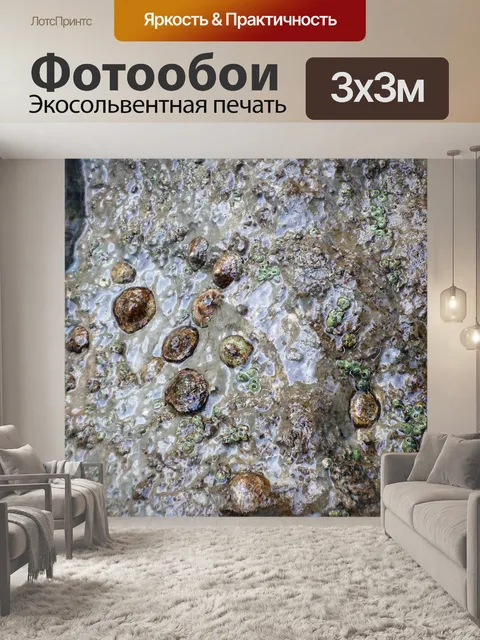 Фотообои Снаряды