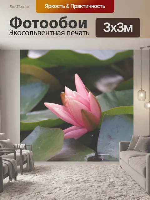 Фотообои Скрытая кувшинка между листьями