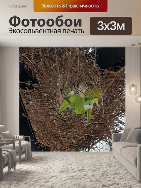 Фотообои Гнездо с карликом попугаев
