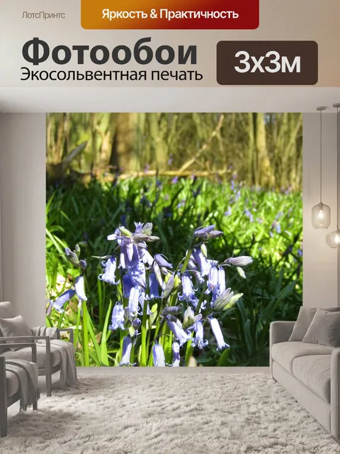 Фотообои Колокольчик Вудс