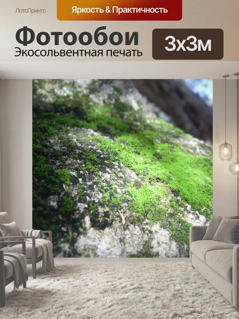 Фотообои Зеленый мох на скале
