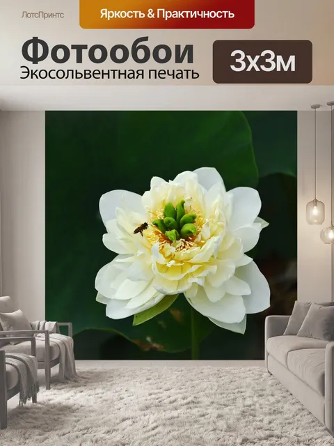 Фотообои Золотой лотос