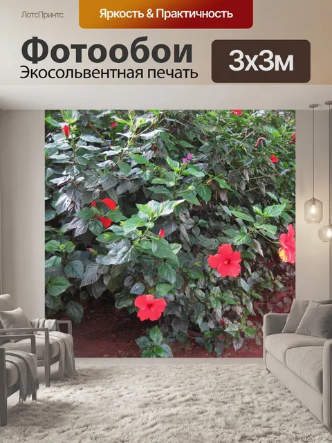 Фотообои гибискус куст