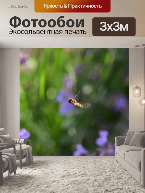 Фотообои Летать в воздухе