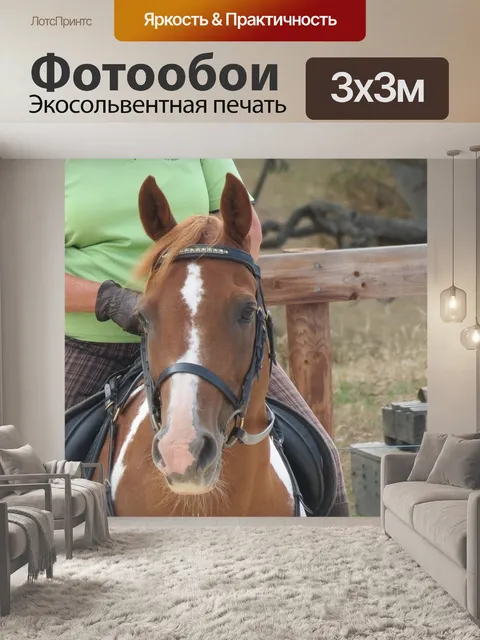 Фотообои Лошадь